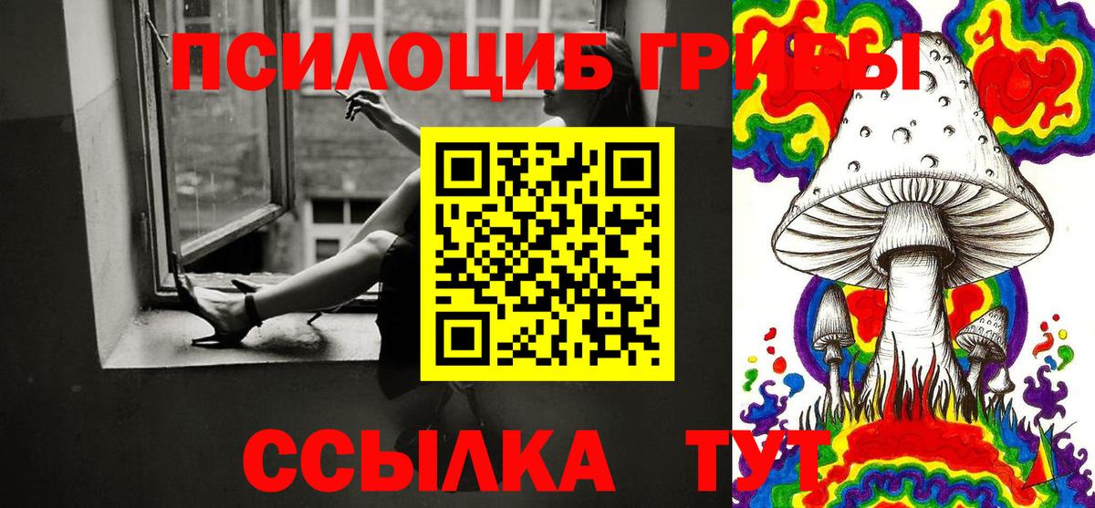 дарнет шоп  Псилоцибиновые грибы мухоморы  Вход с VPN  Калининград 